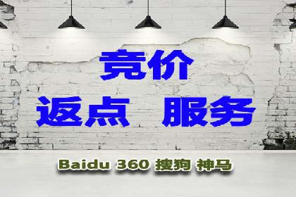 sem托管服务实战案例：精准定位，广告投放效果显著